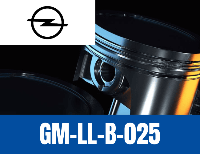 Norma GM-LL-B-025