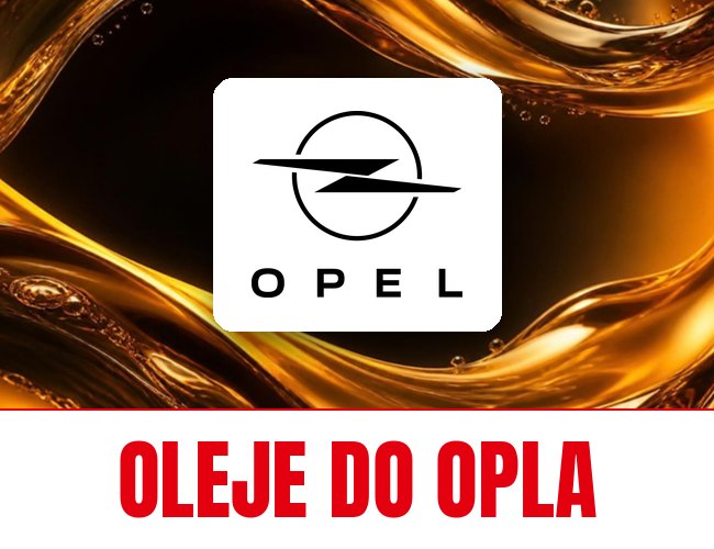 Oleje i płyny FUCHS do Opla
