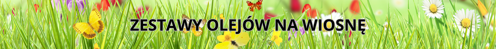 ZESTAWY OLEJÓW NA WIOSNĘ ZESTAWY OLEJÓW NA WIOSNĘ